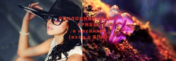 ешки Алексеевка