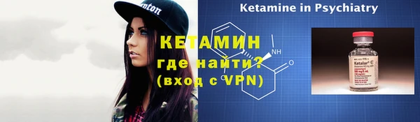 шишки Абаза
