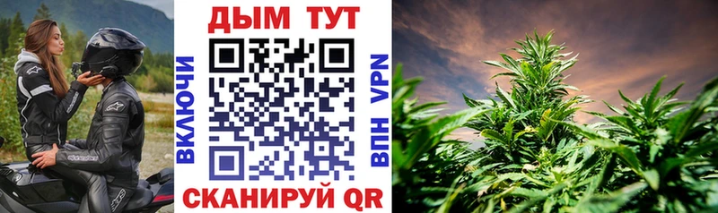 Бошки марихуана Ganja  Ясный 